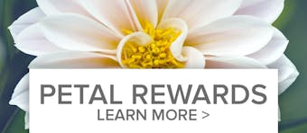Petal Rewards: Learn More