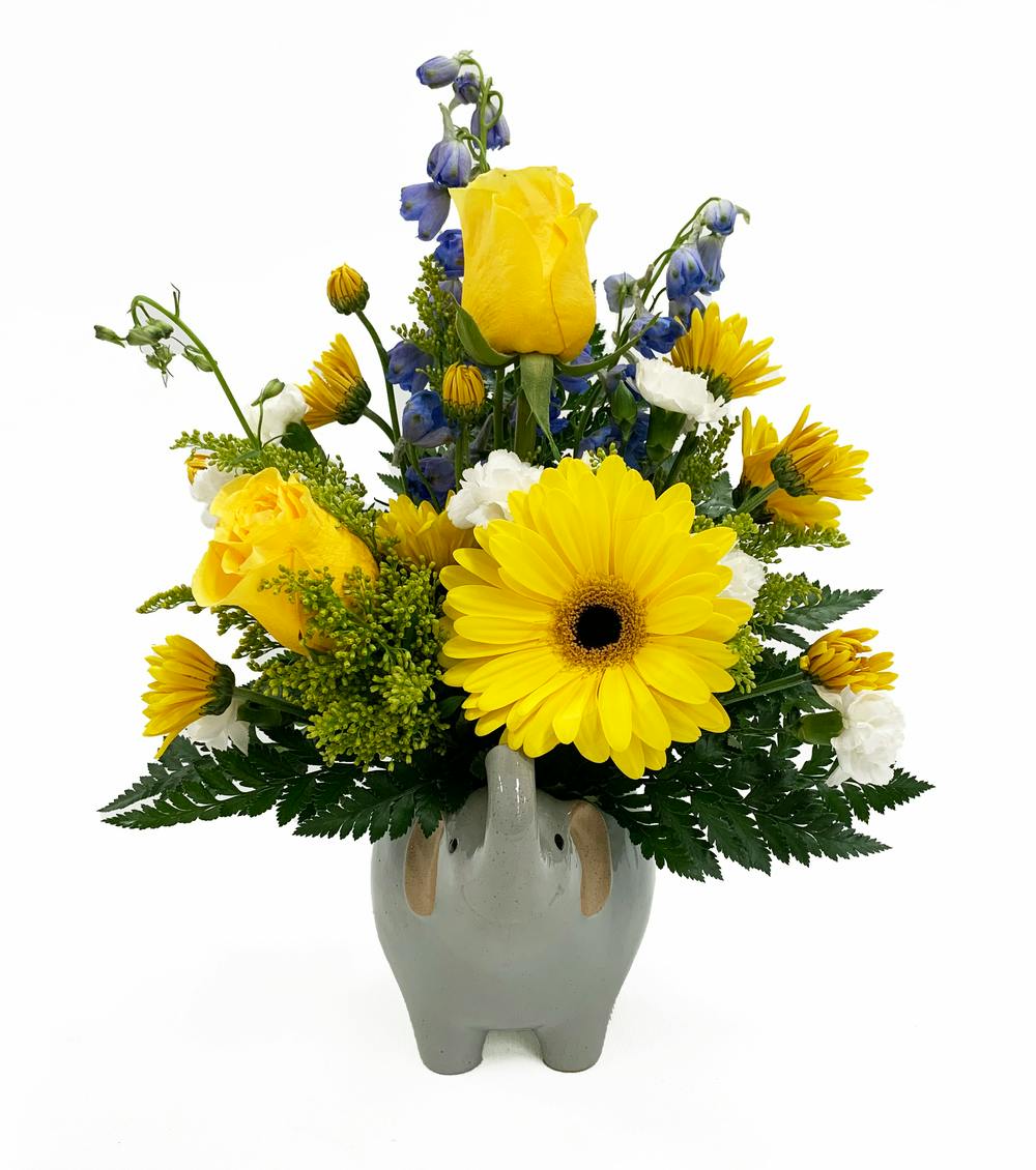 Baby Boy Salisbury (MD) New Baby Delivery Kitty's Flowers