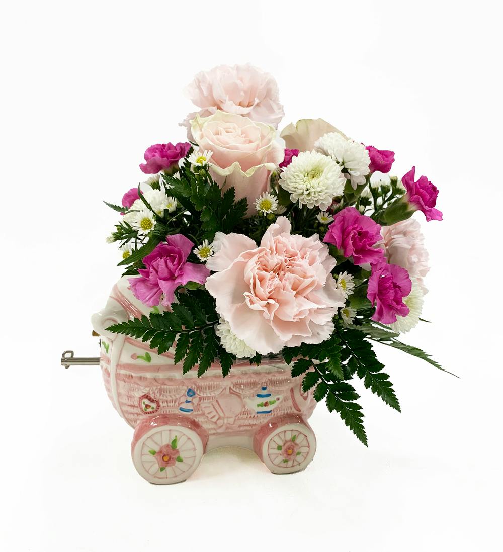 Musical Carriage Girl Maryland & Delaware New Baby Flowers Kitty's