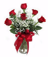 Six Red Roses Arranged